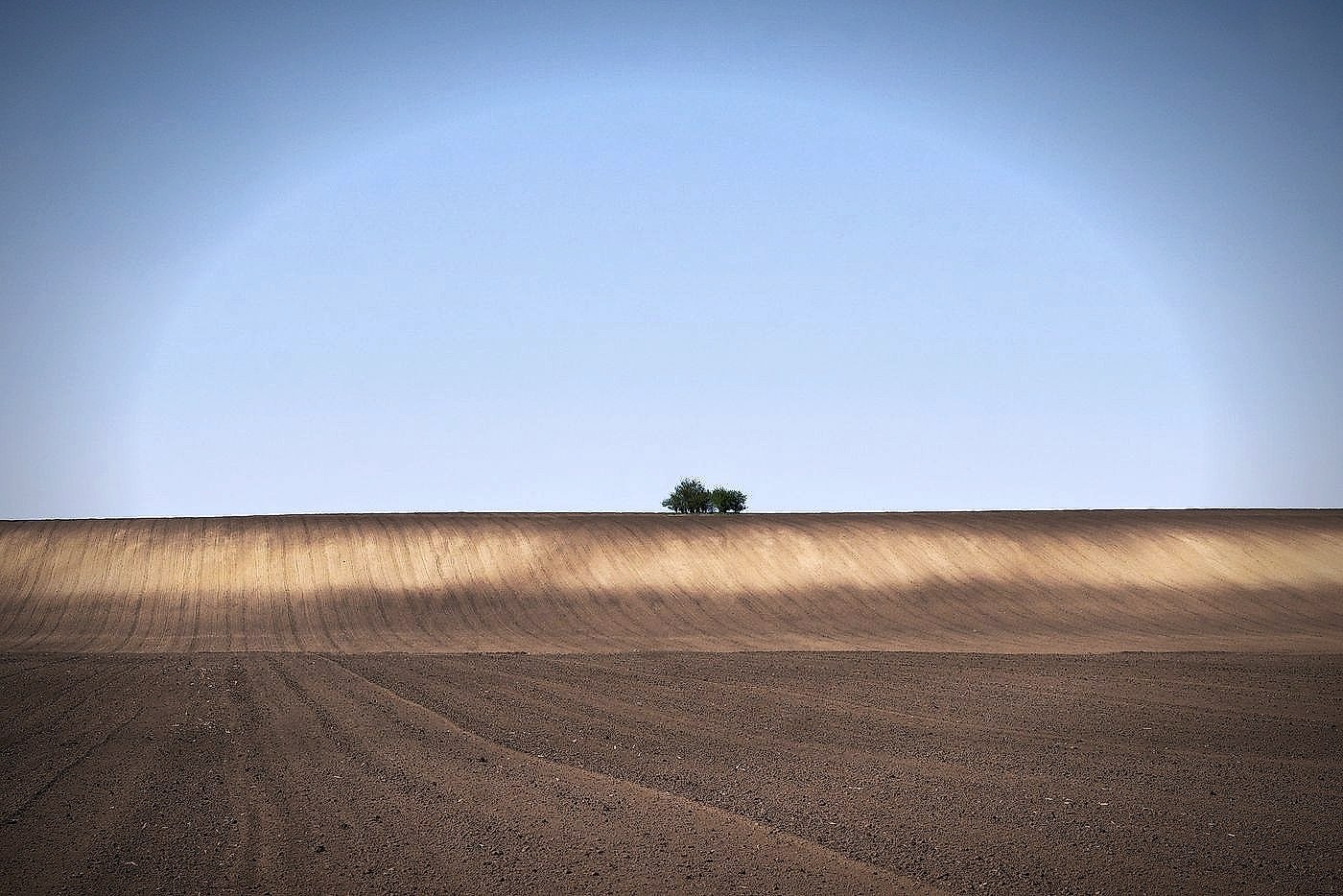 Flat ploughed farmland stretching to the horizon under an open sky in Vojvodina, northern Serbia