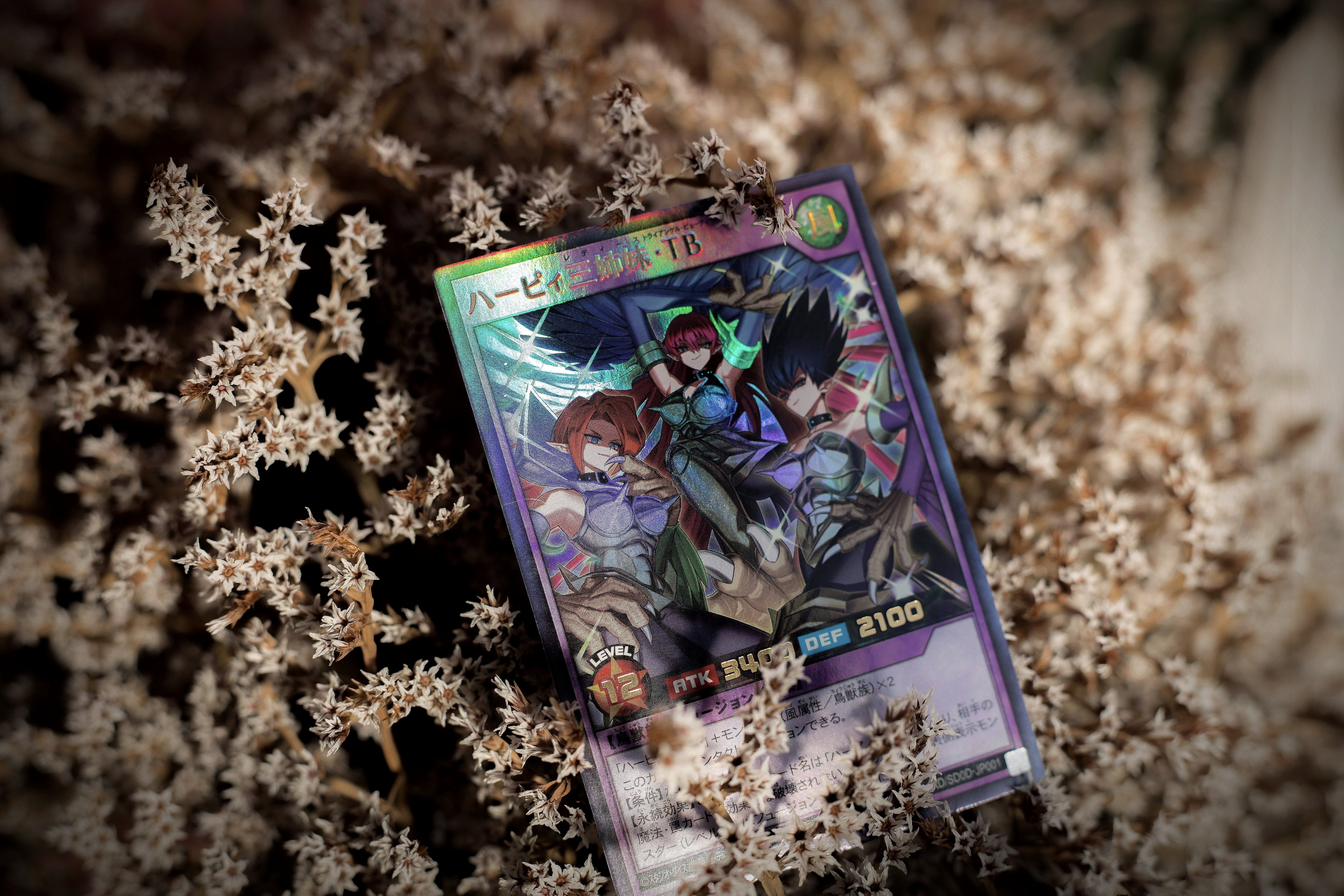 A vibrant holographic trading card resting on a natural dried plant background, showing the foil and artwork detail of a numbered parallel